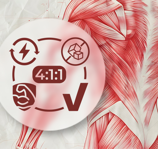 Hlavní benefity BCAA